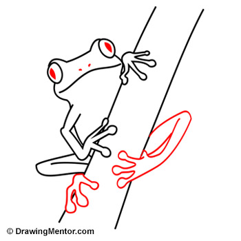 350x350 How To Draw A Frog Tutorial - Frog Drawing Easy