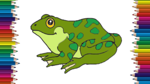 300x169 How To Draw A Frog Step - Frog Drawing Easy