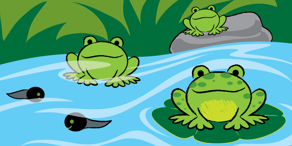 1000x500 It's Easy To Draw A Frog! - Frog Drawing Easy