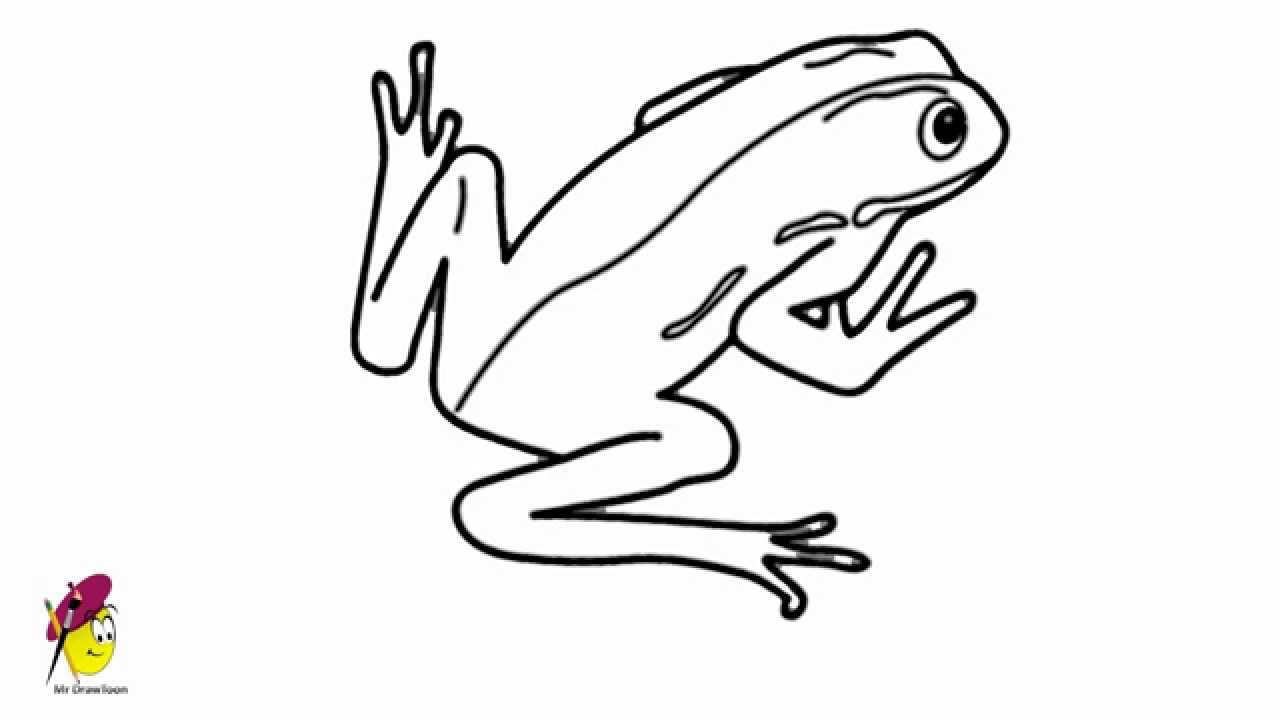 1280x720 Frog - Frog Drawing Easy