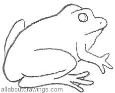 232x188 Frog Drawings In Pencil - Frog Drawing Easy