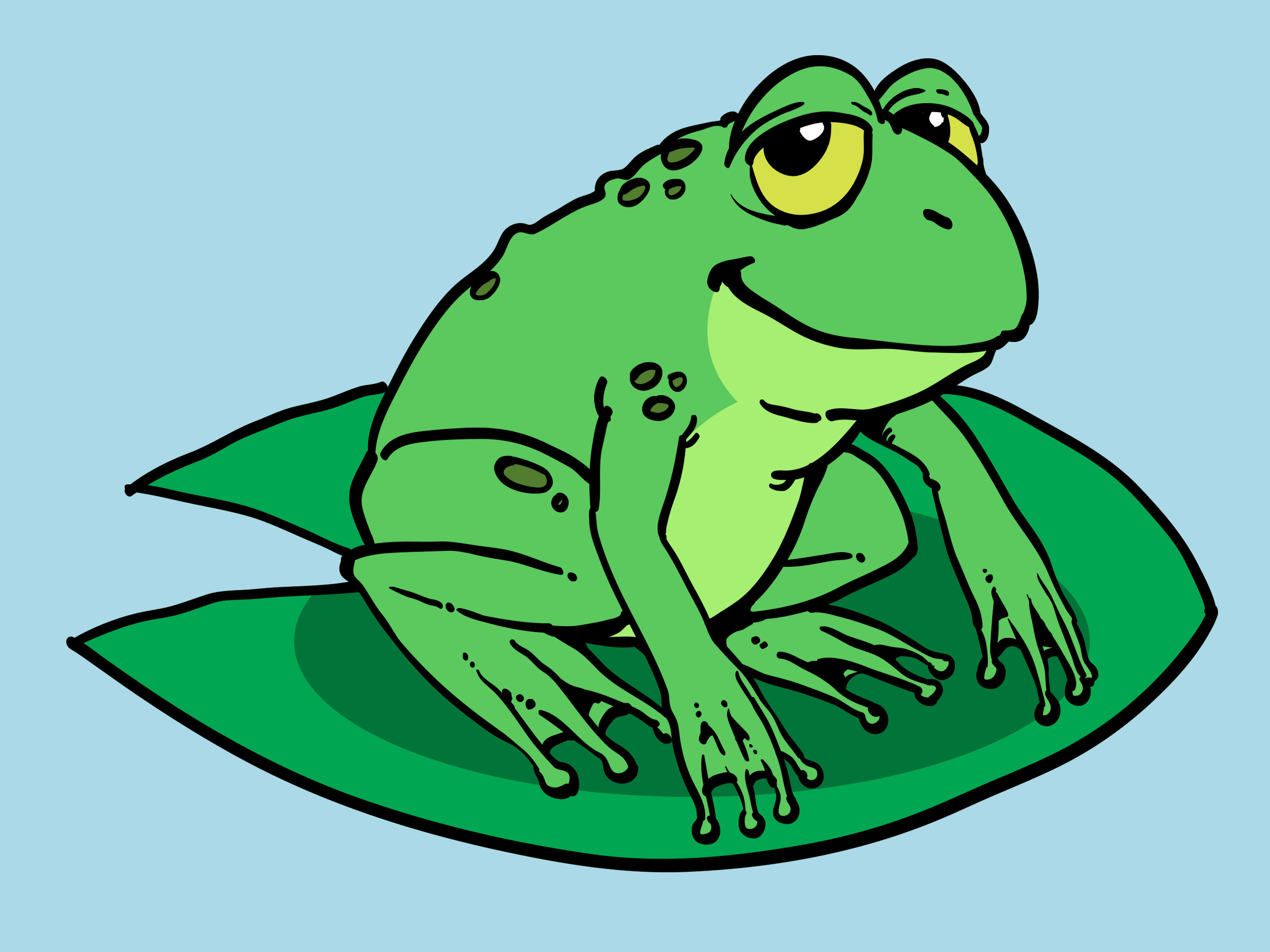 3200x2400 Frog Drawing Face Cute Baby Line Art Meme Of A Wmstdc - Frog Drawing Images