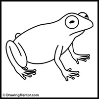 200x200 how to draw frogs drawing tutorials drawing how to draw - Frog Drawing Images
