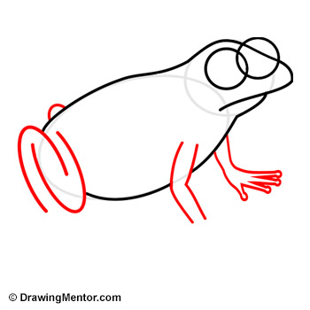 350x350 How To Draw A Frog Tutorial - Frog Drawing Images