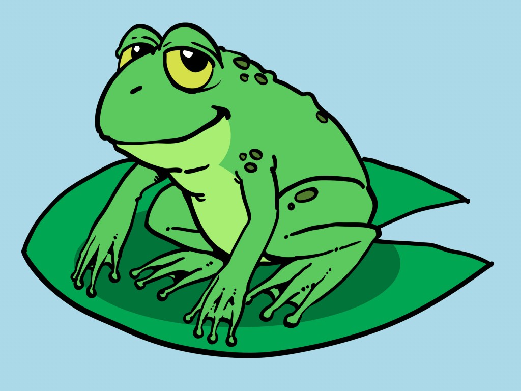 1024x768 Cartoon Frog Drawing - Frog Drawing Images