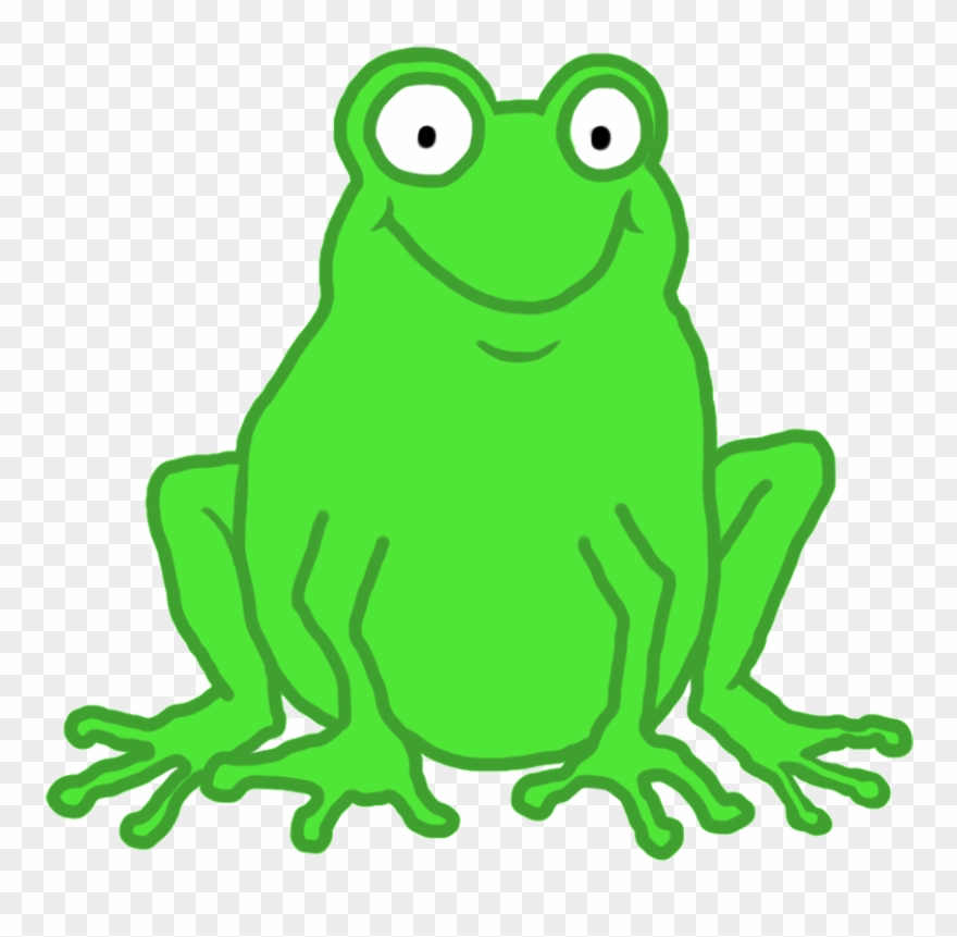 880x861 crazy frog looking at you frog drawing, funny frogs - Frog Drawing Images
