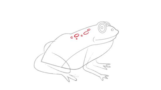 550x309 Ways To Draw A Frog Step - Frog Face Drawing