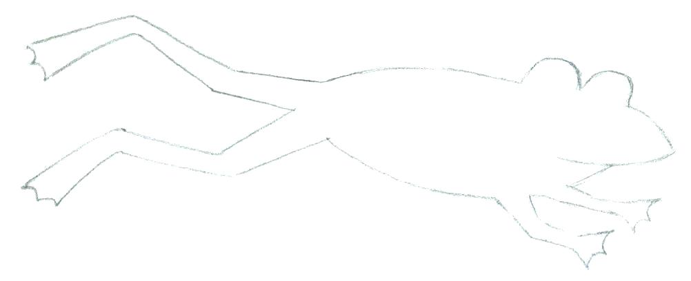 1002x408 How To Draw A Frog Face Mindbodysoul Club - Frog Face Drawing