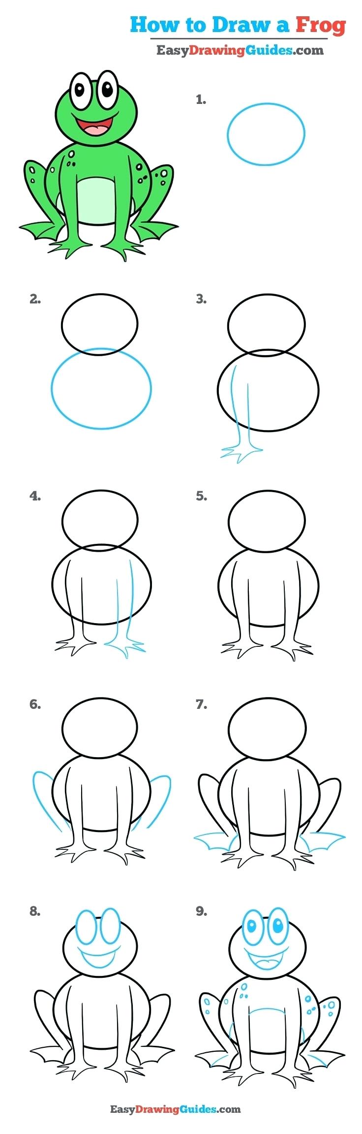How To Draw A Frog Face Step By Step