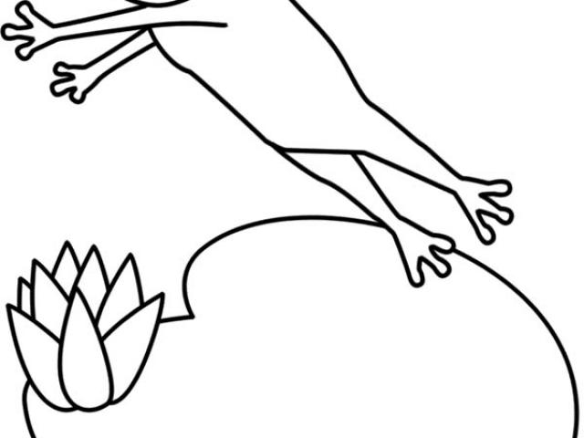 640x480 Drawn Frog Jumping - Frog Jumping Drawing