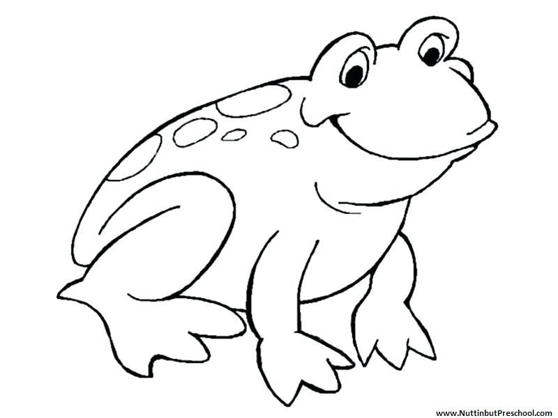 800x600 Jumping Frog Coloring - Frog Jumping Drawing