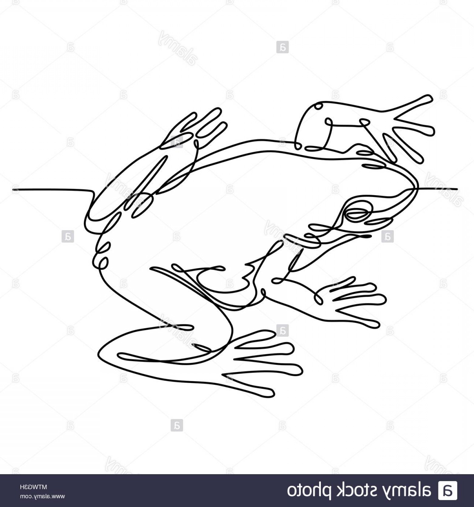 1560x1668 Frog One Line Drawing Continuous One Line Drawing Black And White - Frog Line Drawing