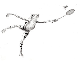 340x270 Frog Line Drawing Etsy - Frog Line Drawing