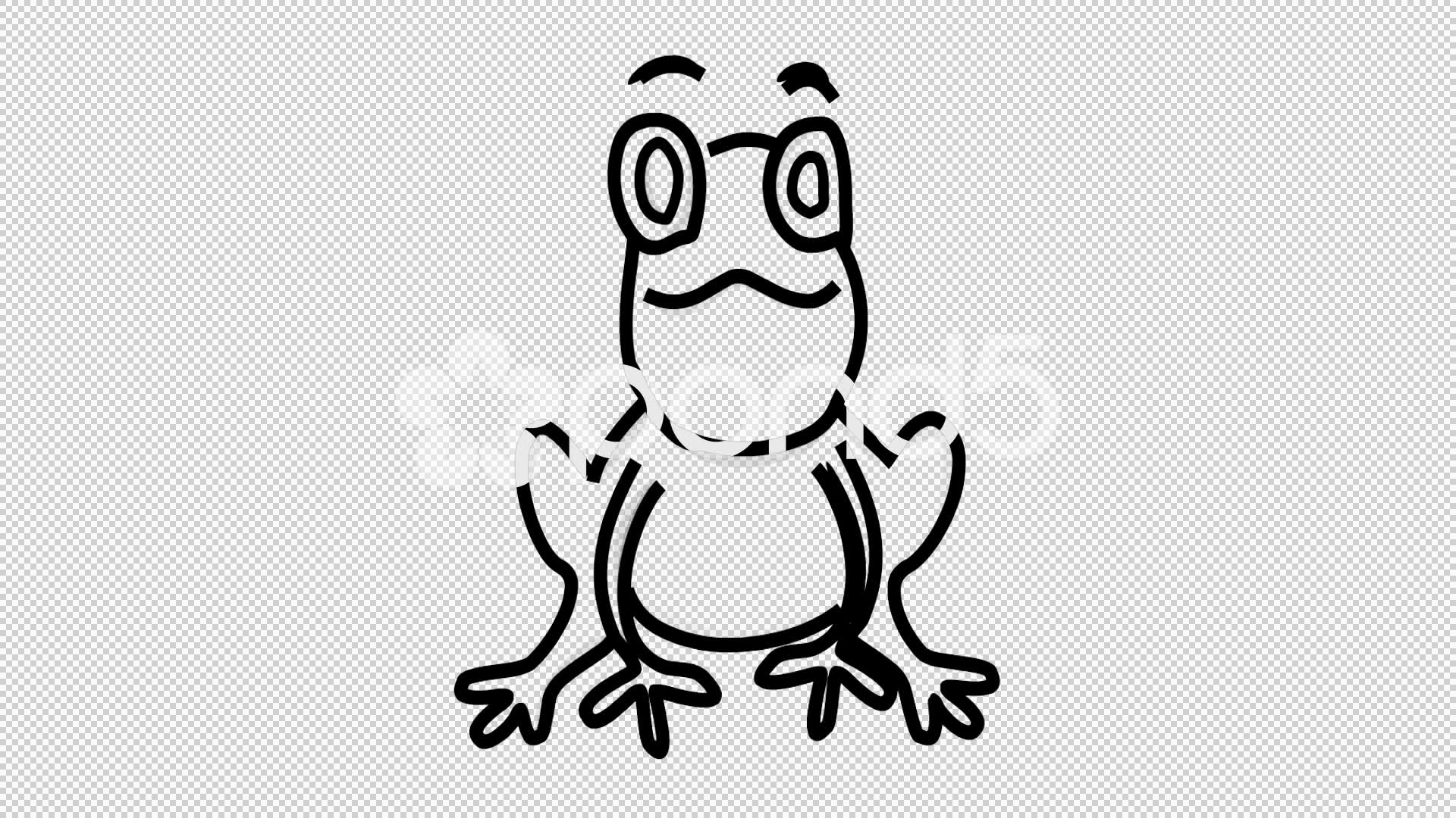1920x1080 Frog Line Drawing Animation With Transparent Background Footage - Frog Line Drawing
