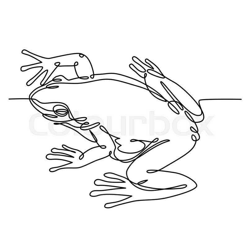 800x800 Frog One Line Drawing, Continuous One Stock Vector Colourbox - Frog Line Drawing