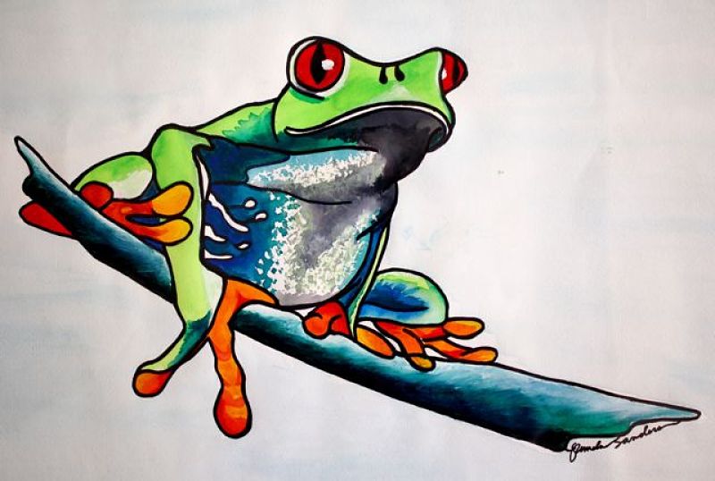 800x538 Watercolor Frog Single Continuous Contour Line Drawing, Art Is - Frog Line Drawing