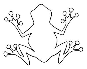 300x238 outline drawing of frog line drawing of frogs - Frog Line Drawing