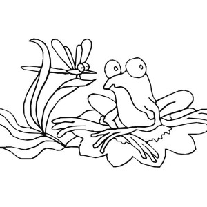 300x300 Frog On Lily Pad Drawing - Frog On Lily Pad Drawing
