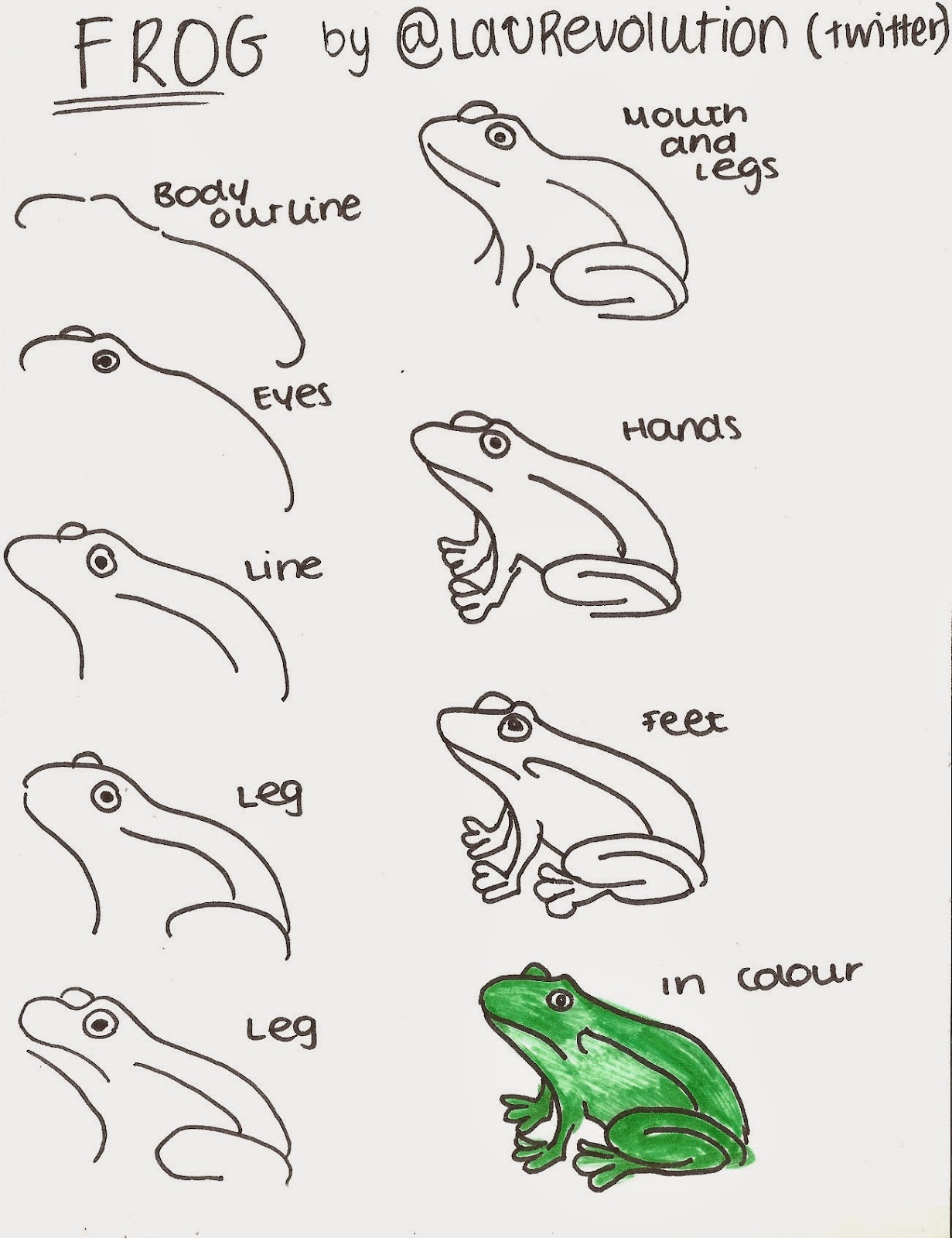 How To Draw A Frog Step By Step