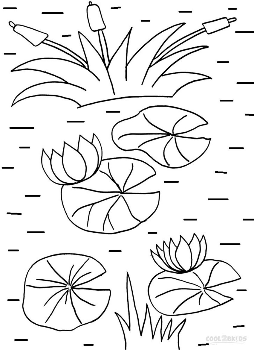 850x1169 Stylish Ideas Lily Pad Coloring - Frog On Lily Pad Drawing