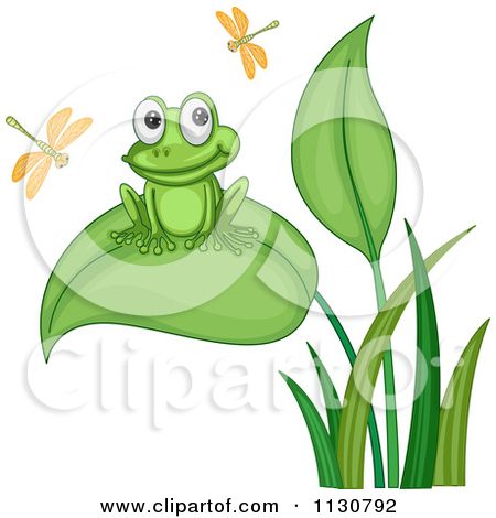 450x470 Cartoon Frogs Cartoon Of A Cute Frog In A Lily Pad Pond - Frog On Lily Pad Drawing