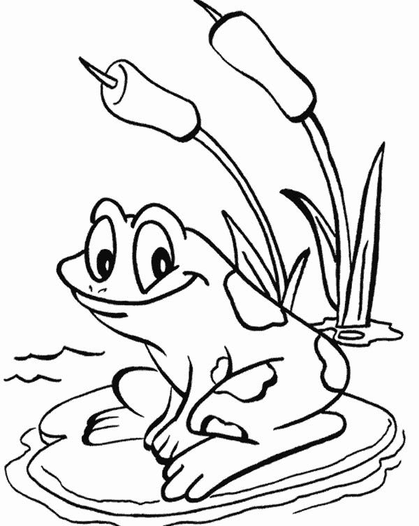 600x752 Coloring Pages Of Around The Pond Lily Pad, Frog Love To Sit - Frog On Lily Pad Drawing
