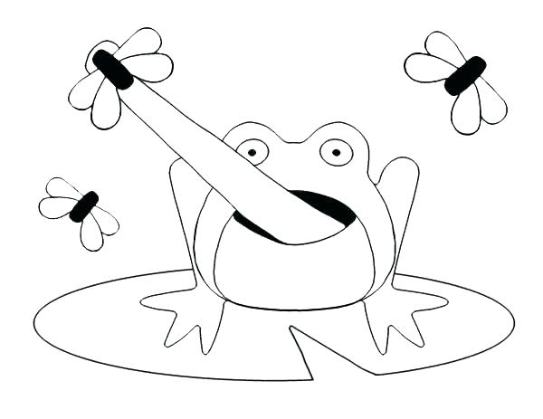 600x463 Frog Lily Pad Coloring - Frog On Lily Pad Drawing
