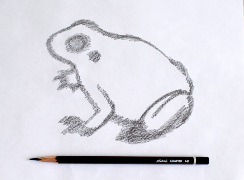 800x592 How To Draw A Frog With Graphitint Pencils - Frog Pencil Drawing