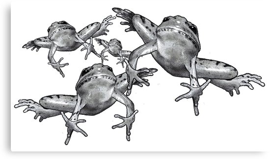 550x324 leaping frogs, original pencil drawing canvas prints - Frog Pencil Drawing