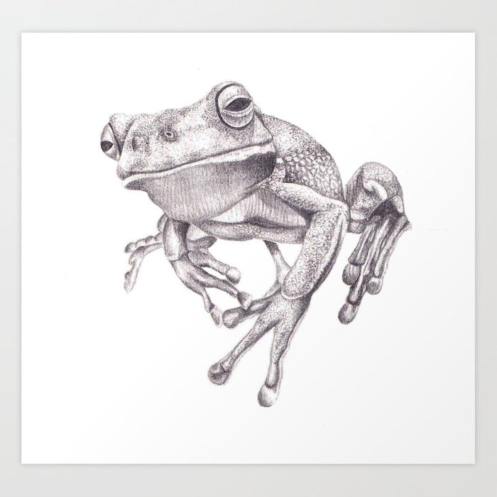700x700 Pencil Drawing - Frog Pencil Drawing