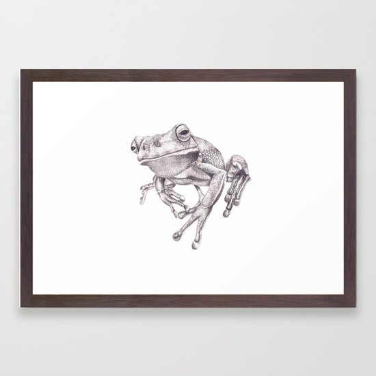 550x550 Pencil Drawing - Frog Pencil Drawing