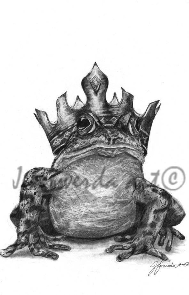 794x1235 Pencil Drawing Print The Frog Prince Day Etsy - Frog Pencil Drawing