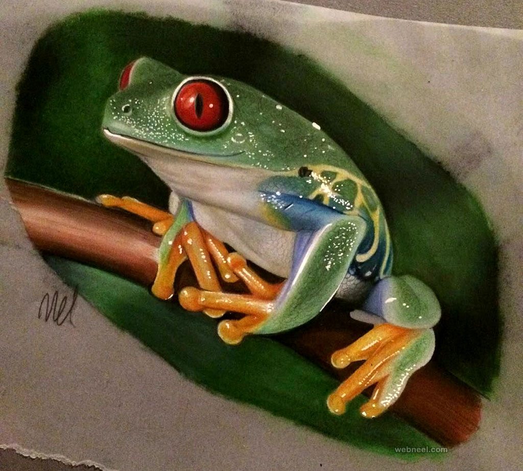 1024x923 Frog Drawings - Frog Pencil Drawing