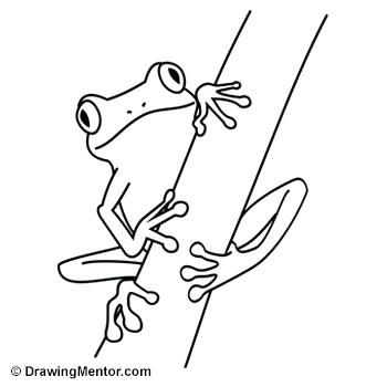 350x350 frog steps trace the lines how to draw a frog paper frog making - Frog Simple Drawing