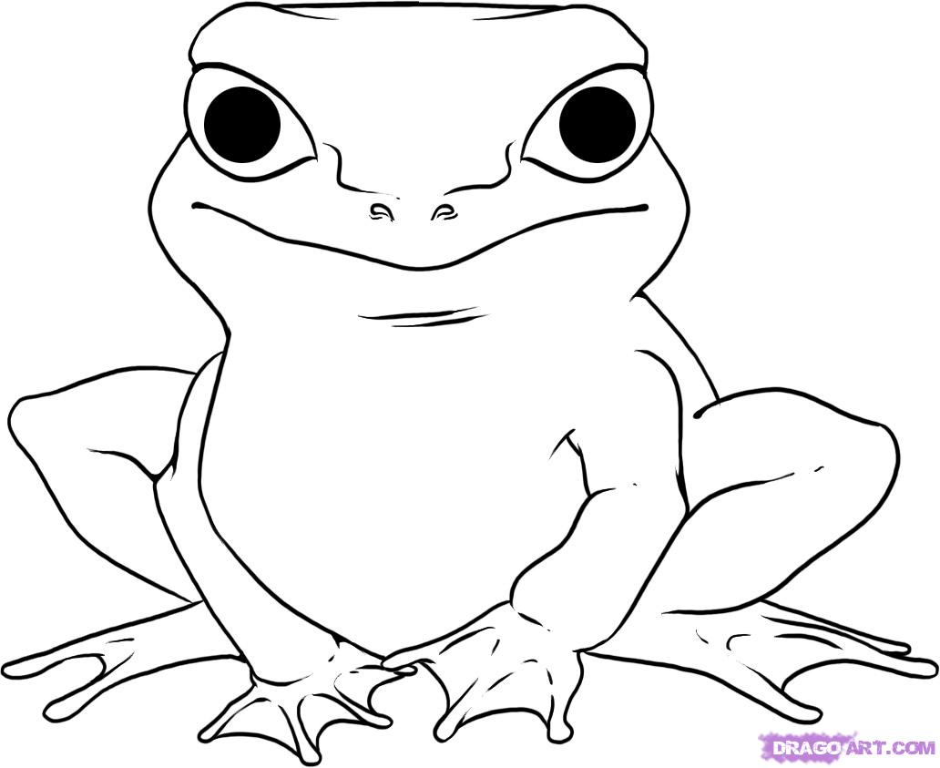 1032x843 How To Draw A Simple Frog, Step - Frog Simple Drawing