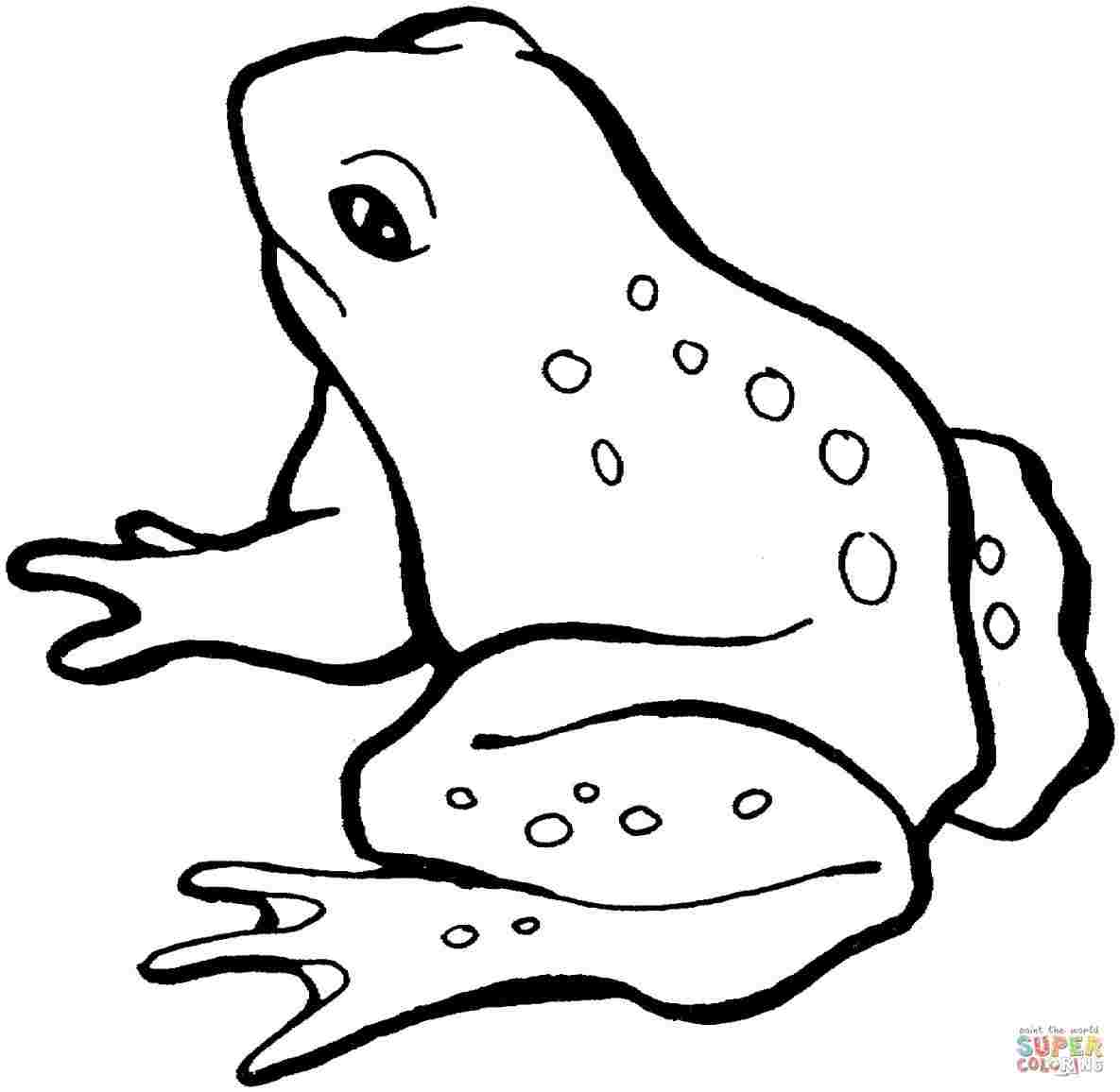 1185x1156 how frog simple drawing to draw cute cartoon baby frog - Frog Simple Drawing