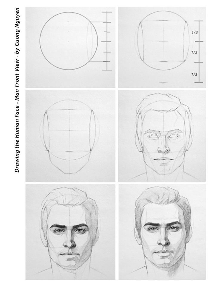 741x960 Drawing The Human Face - Front Drawing