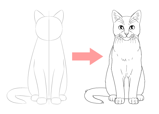 560x400 How To Draw A Sitting Cat Step - Front Drawing