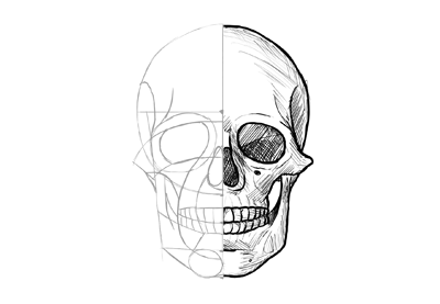 400x277 How To Draw A Skull - Front Drawing