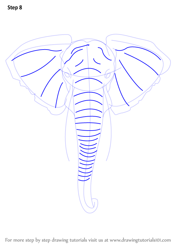 598x844 How To Draw Elephant Face - Front Facing Elephant Drawing