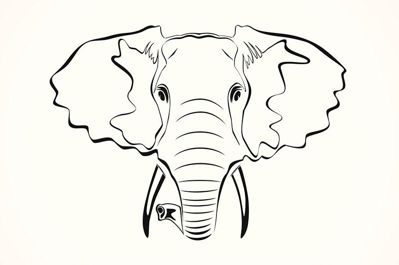 800x532 Cute Outline Elephant Tattoos - Front Facing Elephant Drawing