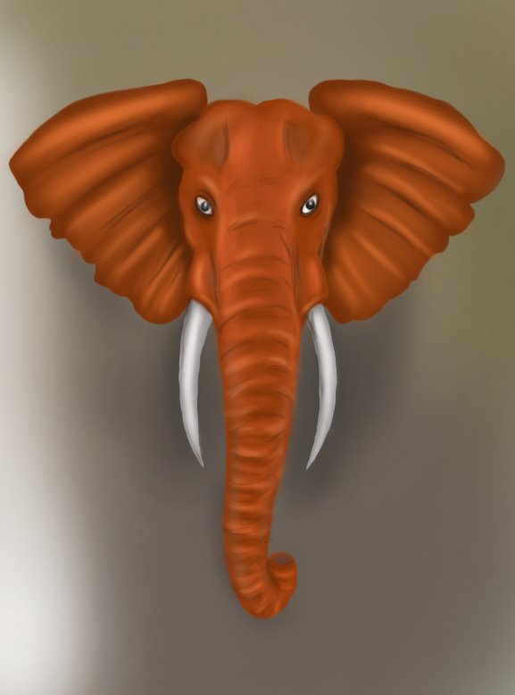 577x778 Learn How To Draw An Elephant Head - Front Facing Elephant Drawing