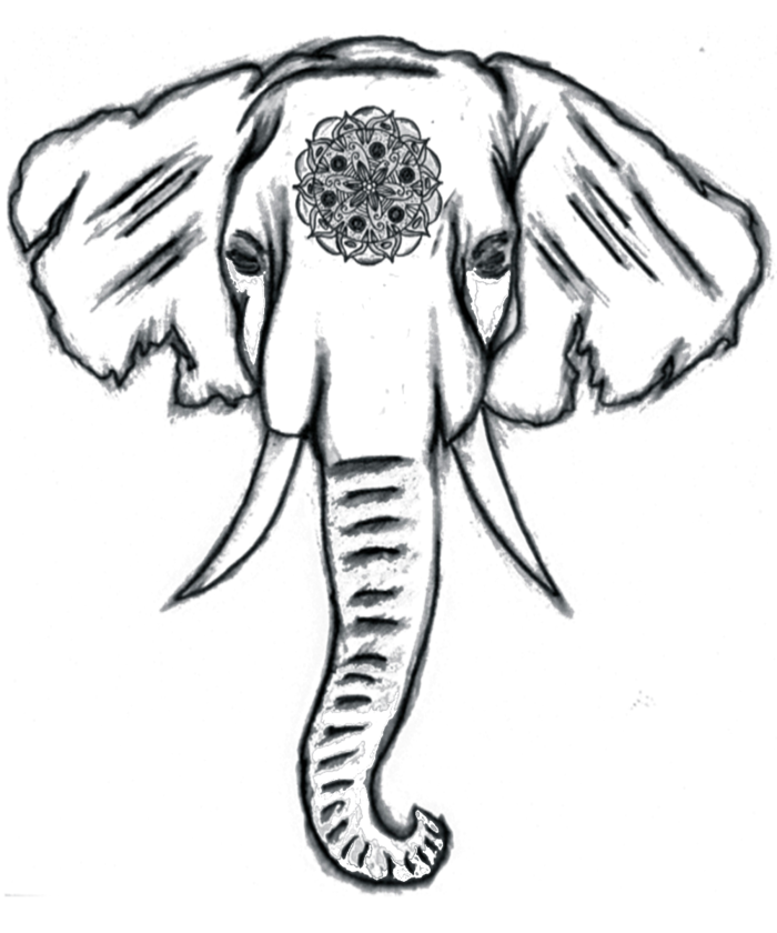 700x840 Collection Of Free Face Drawing Elephant Download On Ui Ex - Front Facing Elephant Drawing