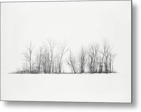 493x392 Isolated Island On A Frozen Lake Metal Print - Frozen Lake Drawing
