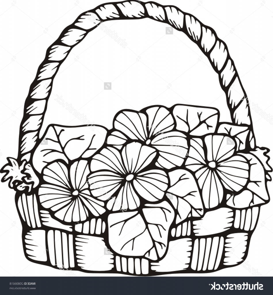 949x1024 Huge Collection Of 'basket Drawing Images' Download More Than - Fruit Basket Drawing Easy