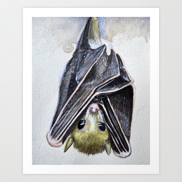 700x700 Egyptian Fruit Bat Art Print - Fruit Bat Drawing