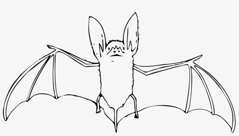 820x466 Net Clip Art Bat Black White Art Elish Halloween - Fruit Bat Drawing