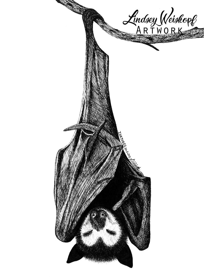 794x1079 Print Ink Art Inktober Sleeping Fruit Bat Etsy - Fruit Bat Drawing