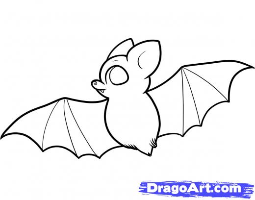 520x408 Step How To Draw A Bat For Kids - Fruit Bat Drawing