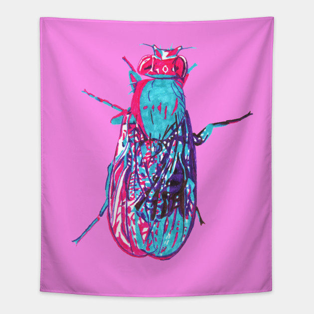 630x630 Fruit Fly - Fruit Fly Drawing